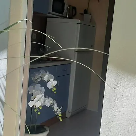 Apartament Marin I Vinka Trogir